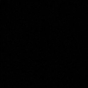 Meet your Posher, Paige